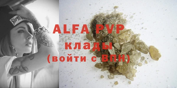 стафф Вязьма